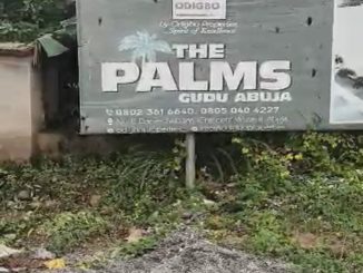 the palms