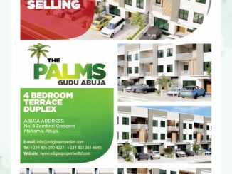 the palms gudu